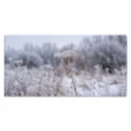 Schermbloem - Rijp - Kristallen - Winter - Delicaat Muismat XXL klein -3d_leeg