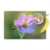 Bloem - Close up - Paars Placemat vinyl groot -zzzproduct_Kitchenyeah-website