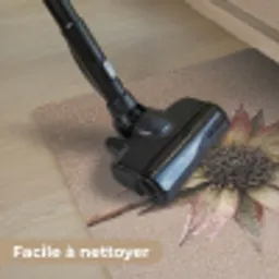 Droogbloem - Protea - Vintage - Beige - Rustiek Deurmat klein -reinigen_FR