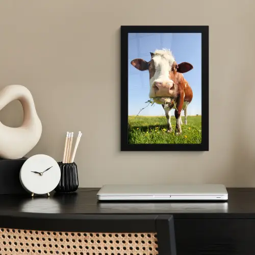 Koe - Dieren - Bloemen - Gras fotolijst zwart zonder passe partout klein -sfeer1
