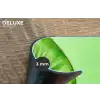 Kiwi - Groen - Fris Placemat vinyl groot -closeup