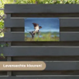 Vogel - Zwaluw - Vliegen tuinposter los doek klein -sfeer3