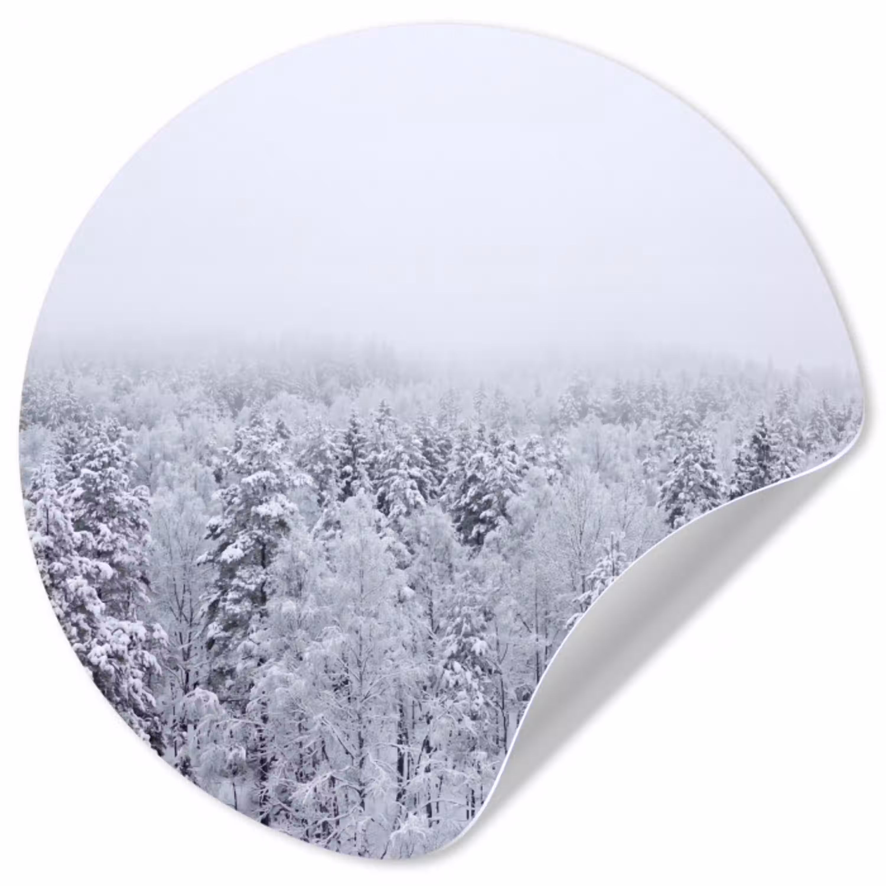 Bos - Sneeuw - Winter - Natuur - Wit Wandcirkel behangsticker klein -3d