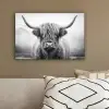 Schotse hooglander - Mist - Zwart - Wit canvas 2cm klein -sfeer3