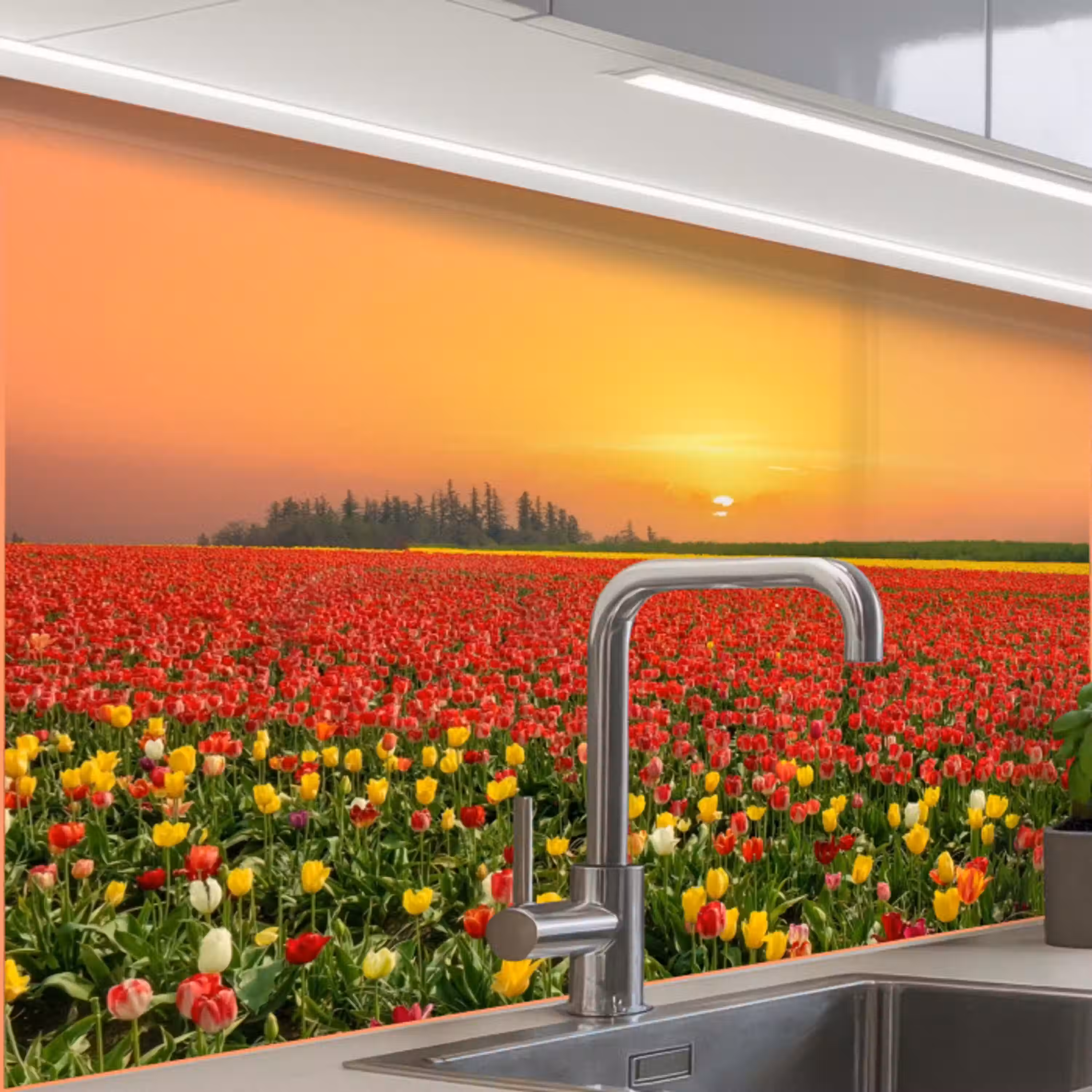 Bloemen - Landschap - Tulpen - Zonsondergang keuken achterwand 2 middel -zzzz3d_schuin