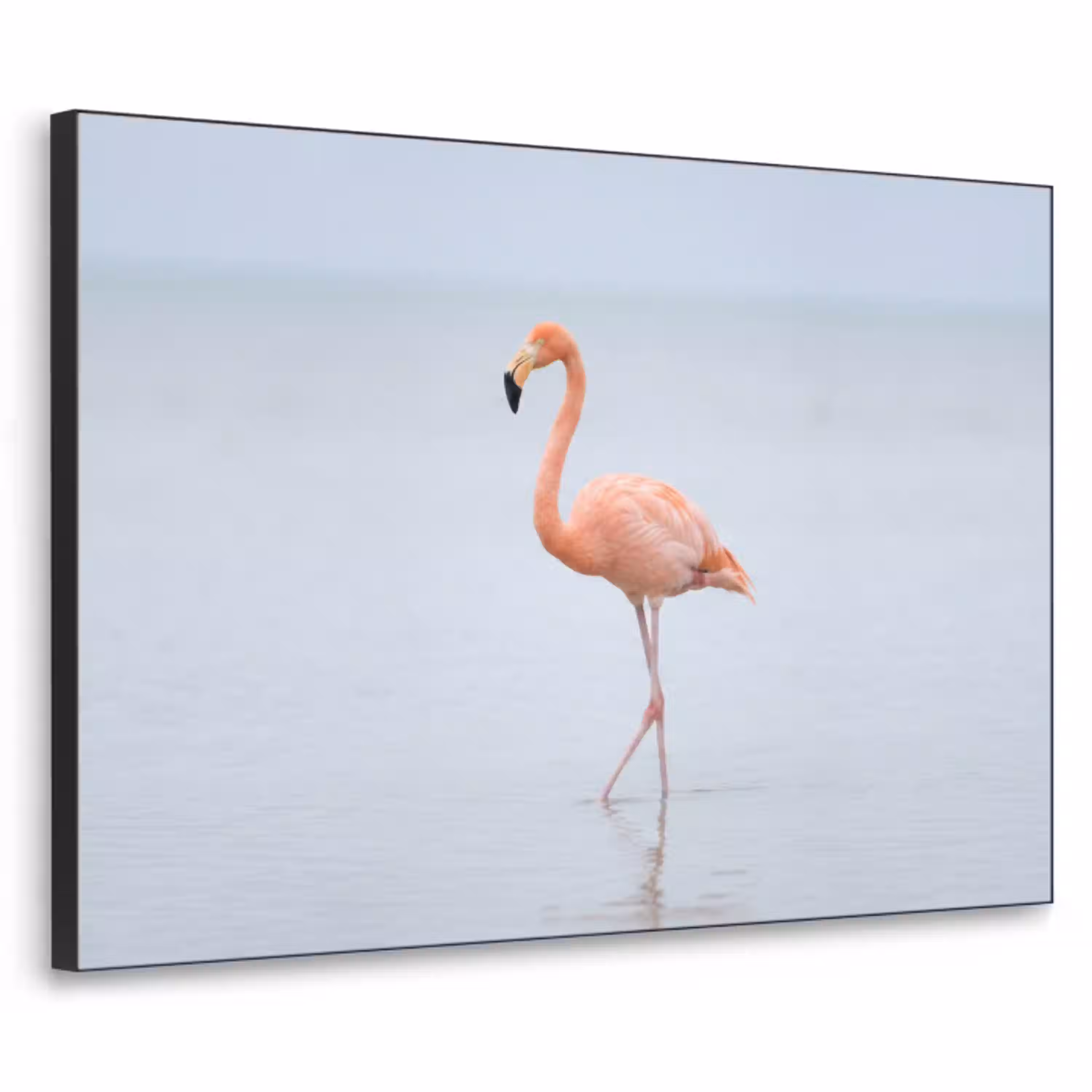 Flamingo - Zee - Roze Textielframe zwart klein -3d