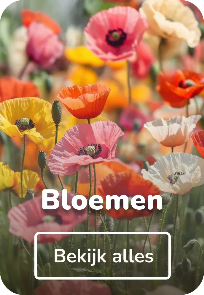 Aluminium bloemen