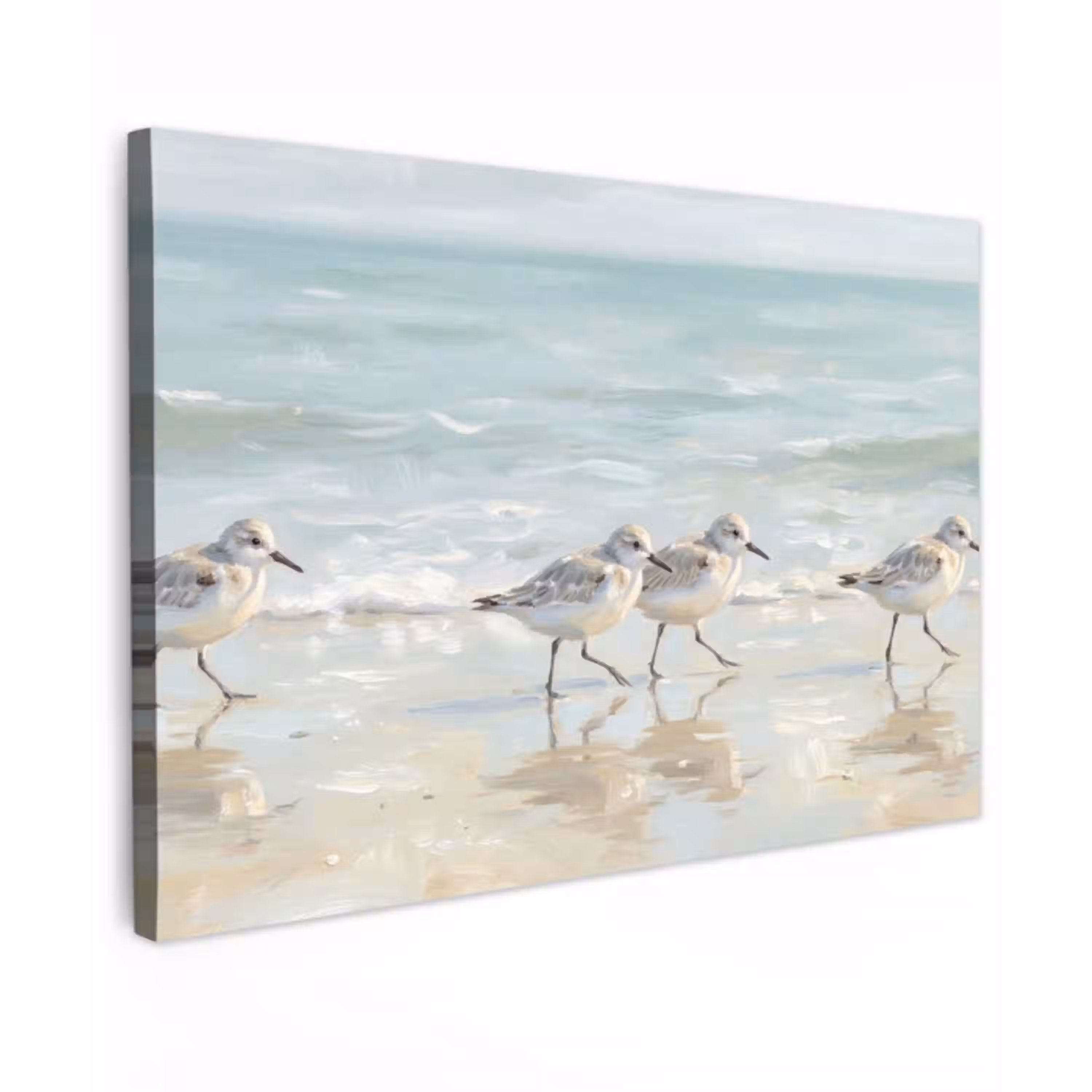 Vogels - Strand - Zee canvas 2cm klein -z3d