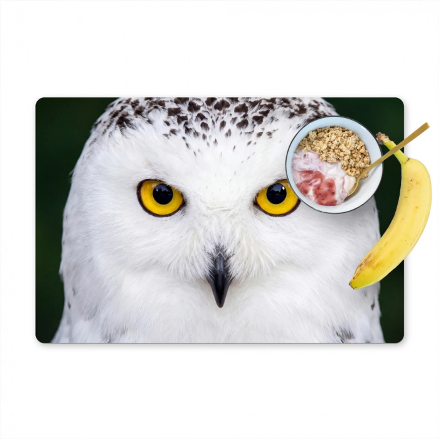 Sneeuwuil - Portret - Geel Placemat vinyl groot -zzzproduct_Kitchenyeah-website