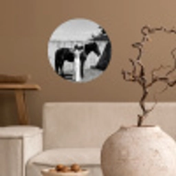 Vrouw - Paard - Artistiek Wandcirkel behangsticker klein -sfeer1