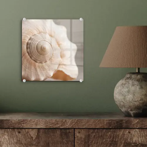 Schelp - Detail - Beige plexiglas 5mm klein -sfeer3