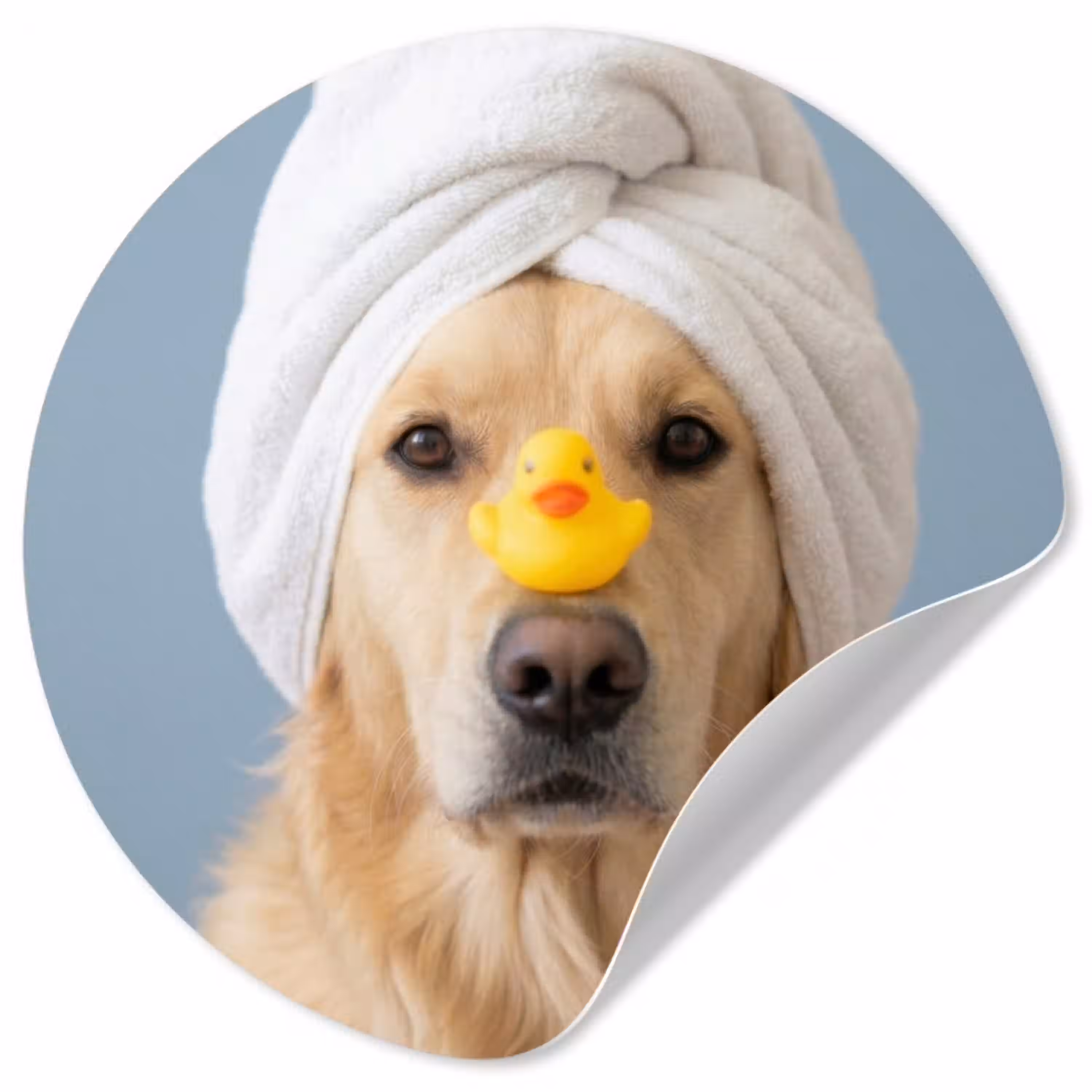 Hond - Badeend - Geel Wandcirkel behangsticker klein -3d