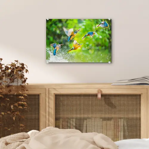 IJsvogels vliegen in het water plexiglas 5mm klein -sfeer4