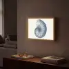 Blauw - Schelp - Spiraal Light Box met batterij (Wandlamp) middel -sfeer1