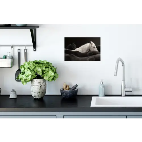 Paarden - Zwart - Wit - Kudde Muursticker klein -keuken