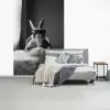 Konijn - Bunny - Zonnebril - Tafelkleed - Pasta - Schattig fotobehang vinyl groot -slaapkamer