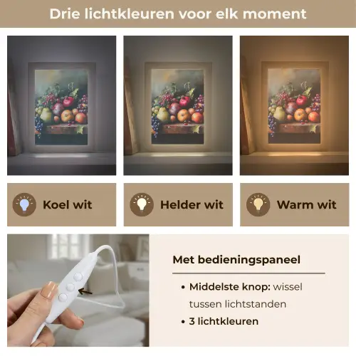 Rustiek - Stilleven - Fruit Light Box met kabel (Tafellamp) klein -USP_lichtkleurNL
