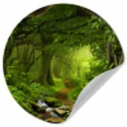 Jungle - Groen - Natuur - Tropisch - Planten Wandcirkel behangsticker klein -3d