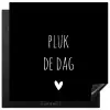 Carpe diem - Spreuken - Pluk de dag - Quotes Inductie beschermer vinyl 3mm middel -3d