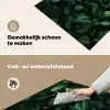 Bladeren - Ovaal - Groen - Nerven Inductie beschemer met haakjes middel -ky-schoon-nl
