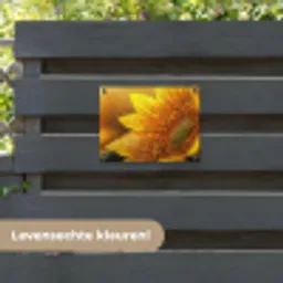 Zonnebloem - Dauwdruppels - Geel - Zonlicht tuinposter los doek klein -sfeer3