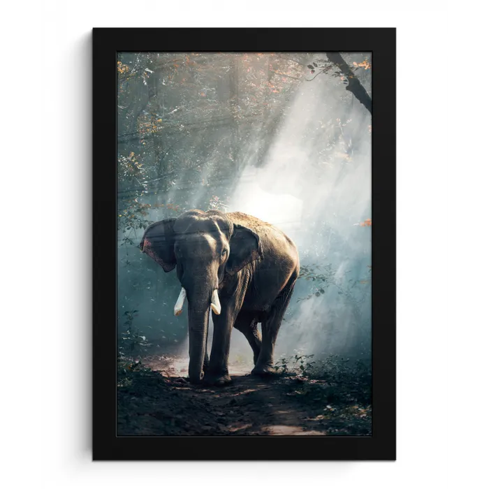Olifant - Dieren - Licht - Bos - Natuur - Wilde dieren fotolijst zwart zonder passe partout klein -3d