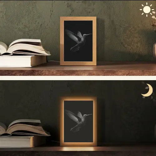 Kolibrie - Zwart - Dieren Light Box met kabel (Tafellamp) klein -sfeer3