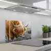 Schotse Hooglander - Dieren - Bruin - Koe - Zwart - Wit - Natuur keuken achterwand spatscherm klein -3d_schuin