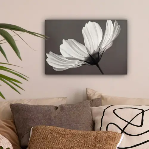 Bloem - Minimalistisch - Zwart - Wit canvas 2cm klein -sfeer1