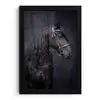 Portret - Paard - Donker fotolijst zwart zonder passe partout klein -3d