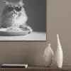 Langharige kat - Zonnebril - Spaghetti - Humor - Zwart - wit PET vilt klein -sfeer6_closeup