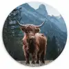 Schotse hooglander - Berg - Landschap - Bomen - Koe - Natuur Wandcirkel kunststof plaat 5mm dik klein -3d