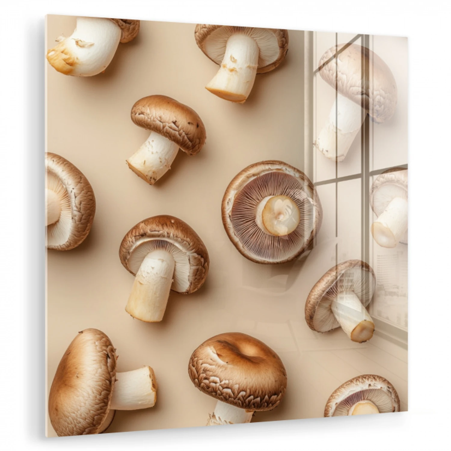 Kastanje Champignons - Beige plexiglas 5mm klein -zzzproduct_nieuw