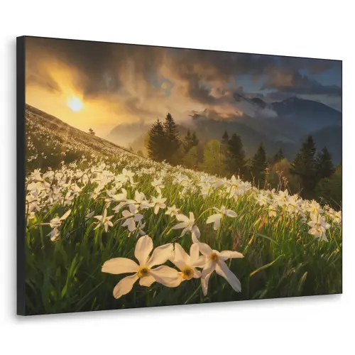 Bloemenveld - Heuvels - Zonsondergang - Berg - Natuur - Wit - Heuvels Textielframe zwart klein -3d