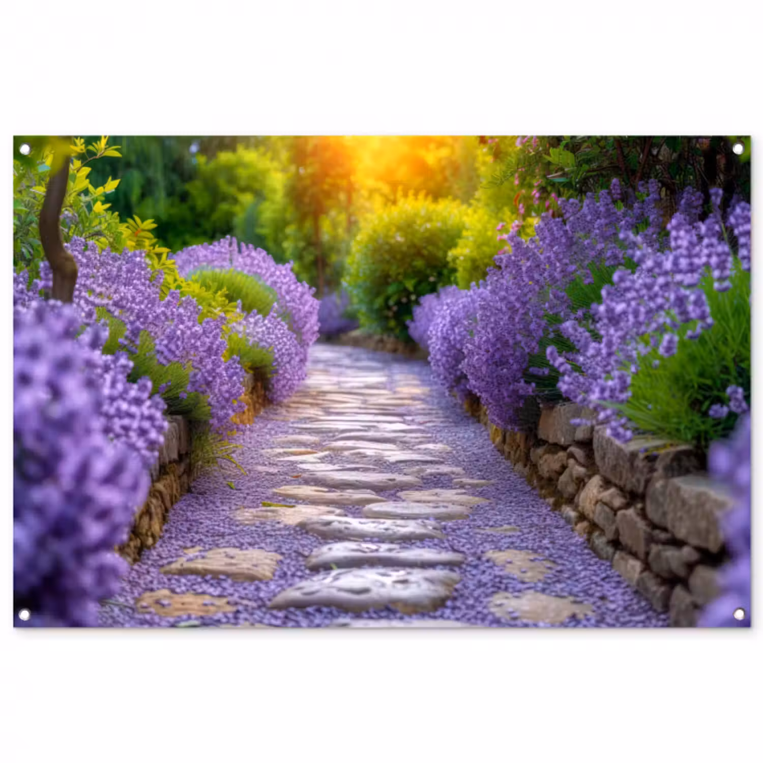 Tuinposter - Lavendelpad bij zonsondergang