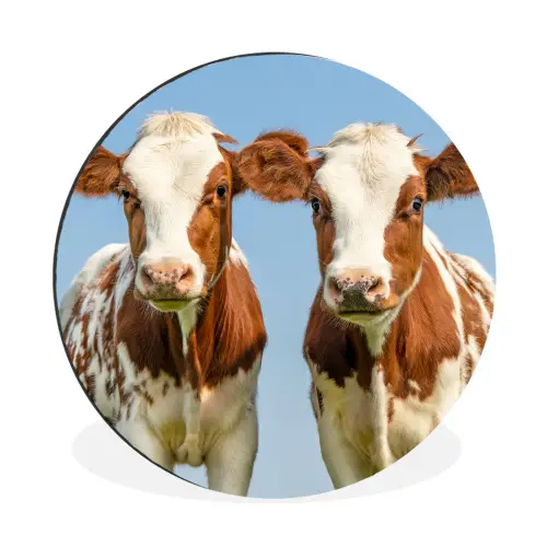 Koeien - Lucht - Dieren - Boerderij - Portret Wandcirkel aluminium klein -3d
