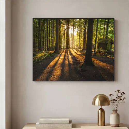 Zon - Bomen - Bos - Landschap - Natuur Textielframe zwart klein -sfeer2