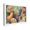 Ernst Haeckel - Anemoon - Retro - Natuur - Planten - Zee canvas 2cm klein -z3d