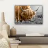 Schotse Hooglander - Dieren - Bruin - Koe - Zwart - Wit - Natuur canvas 2cm klein -sfeer6