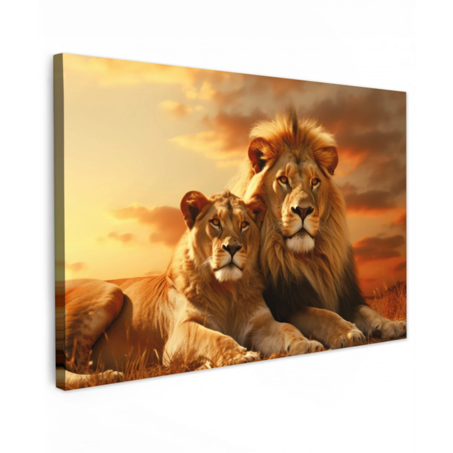 Leeuwenpaar bij zonsondergang Tuinposter op houten frame 2 cm dik klein -3d