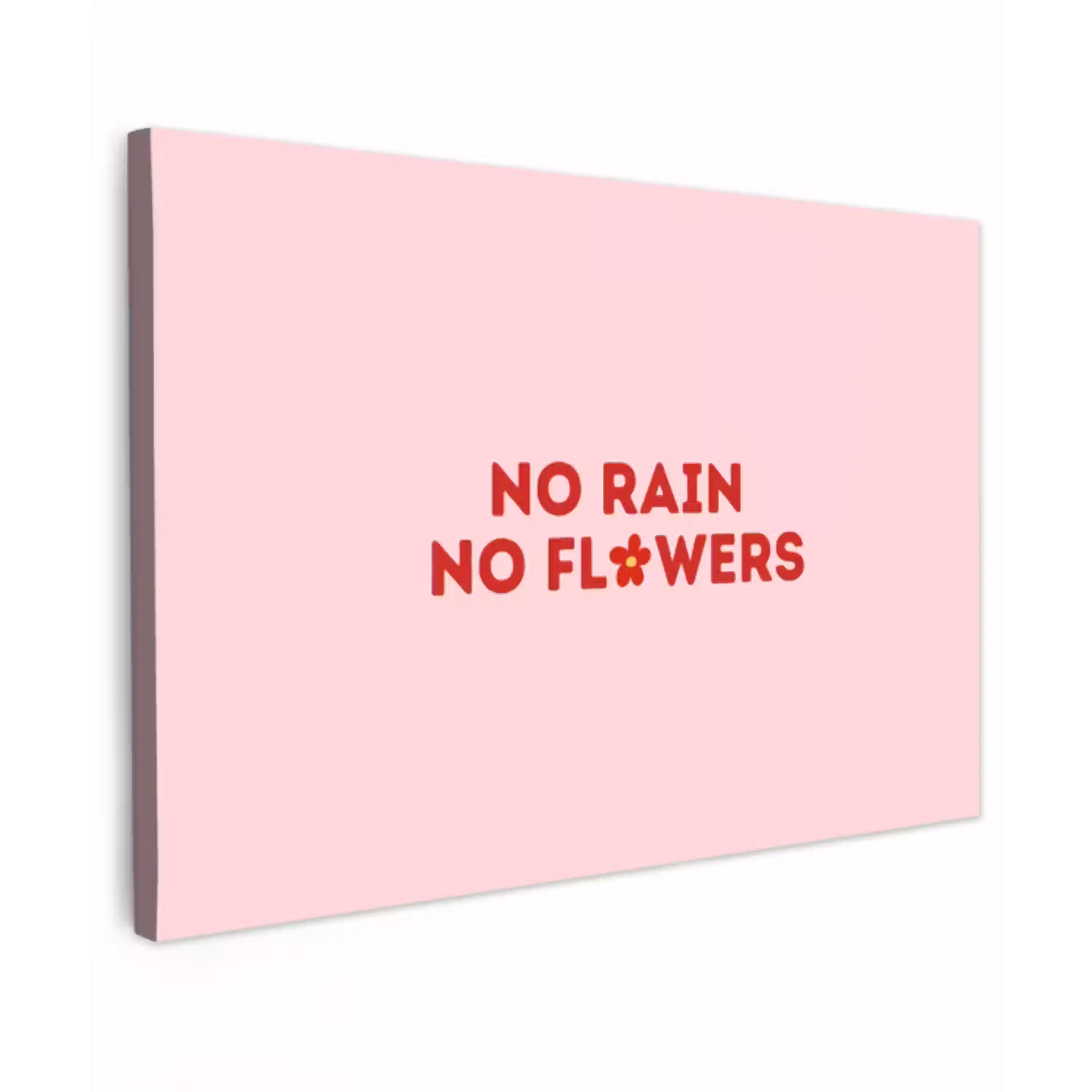 No rain no flowers - Minimalistisch - Roze - Bloem Tuinposter op houten frame 2 cm dik klein -3d