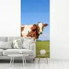 Koeien - Boerderij - Gras- Natuur - Dieren fotobehang vinyl groot -woonkamer