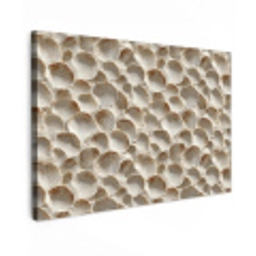 Schelpen - Waaiervorm - Wit canvas 2cm klein 34 -z3d