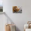 Schotse Hooglander - Dieren - Bruin - Koe - Zwart - Wit - Natuur tuinposter los doek klein -sfeer8