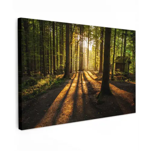 Avondlicht in het bos Tuinposter op houten frame 2 cm dik klein -3d