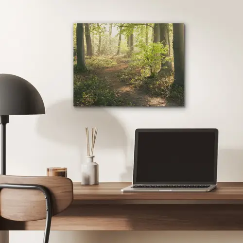 Bos - Bomen - Pad - Zon - Planten - Bladeren - Natuur PET vilt klein -sfeer5
