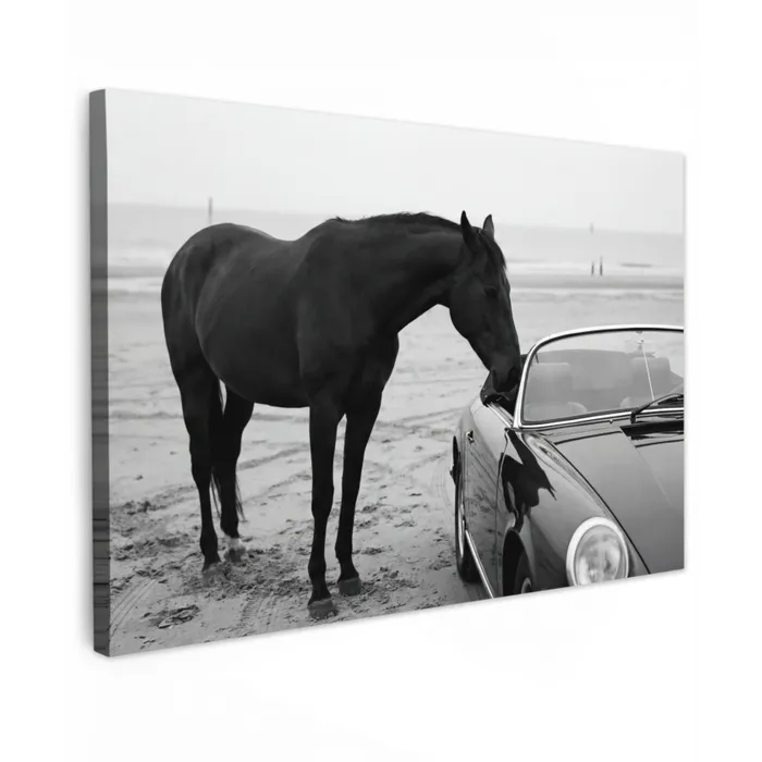 Paard - Auto - Zwart - Wit canvas 2cm klein -z3d
