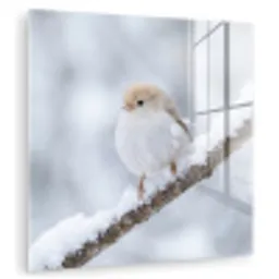 Vogeltje - Sneeuw - Tak - Winter - Zacht plexiglas 5mm klein -zzzproduct_nieuw
