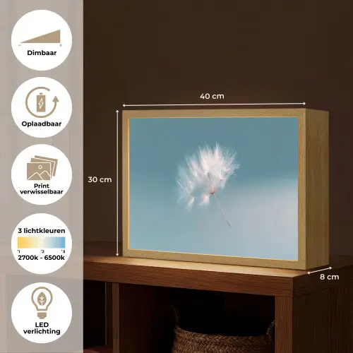 Paardenbloempluisje - Blauw - Lucht Light Box met batterij (Wandlamp) middel -USP_websiteoverzichtNL