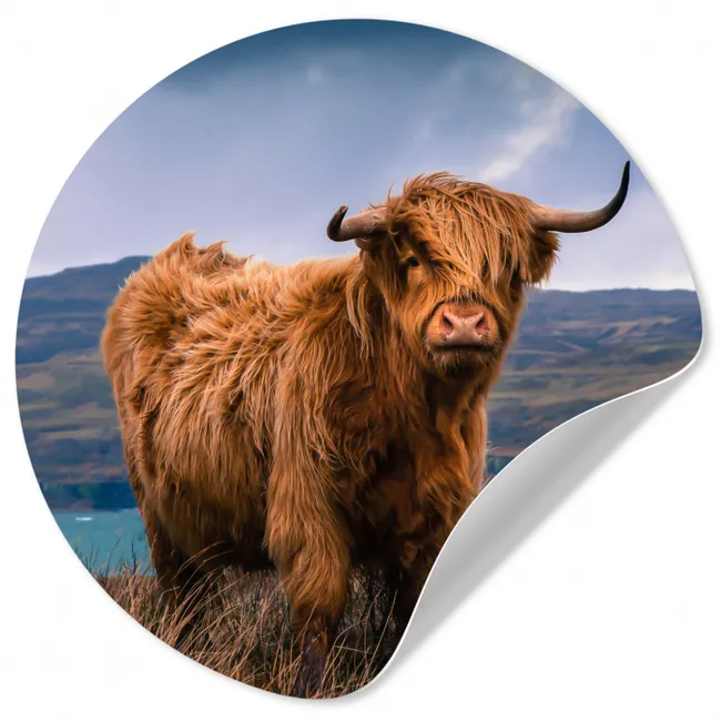 Schotse Hooglander - Berg - Water - Natuur - Koe Wandcirkel behangsticker klein -3d
